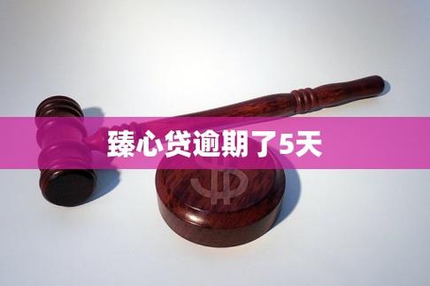 搜不到“臻心贷”独立APP?别瞎下,真相可能让你少踩坑