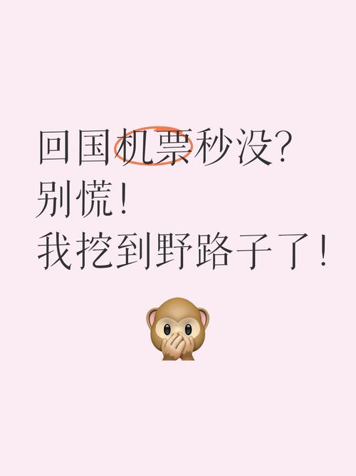QQ密码忘了急死?别慌,这几个“野路子”比官方找回更管用