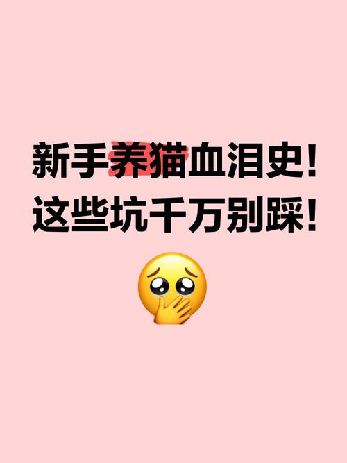 猫满花贷款靠谱吗?下载前这些坑千万别踩!