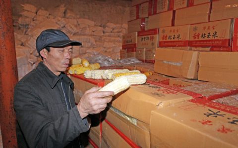 农村一个人做什么挣钱 这几个项目值得参考