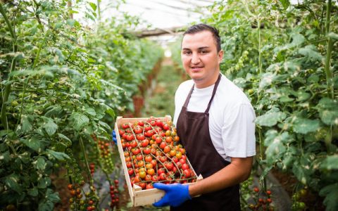 适合农村创业致富新项目