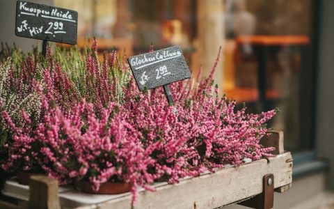 适合女人做的小生意有哪些 这9个小生意最热门