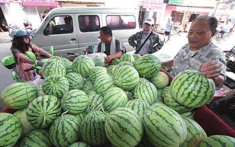 回农村能干点什么挣钱 这几个项目值得考