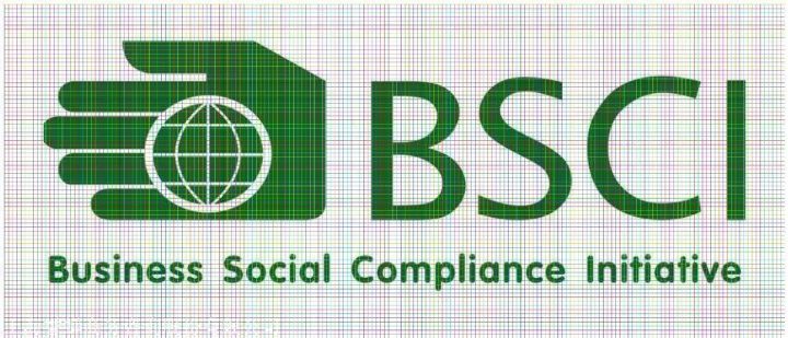 bsci认证费用一般要多少钱 bsci认证一般小厂能过吗-1