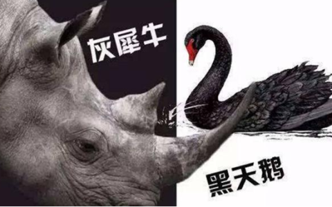 黑天鹅灰犀牛什么意思 小概率突发风险/大概率可预测危机