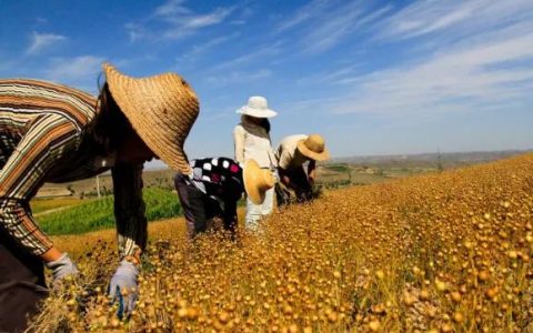 三农是什么意思 三农指的是农业/农村和农民