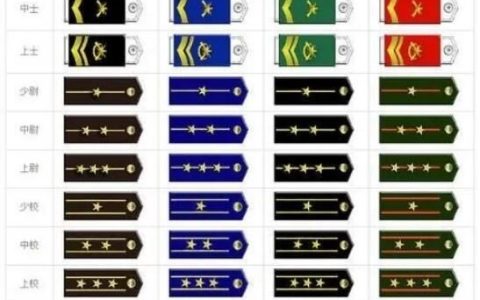 最新部队军衔等级排名肩章 参军就有肩章而最高军衔是上将