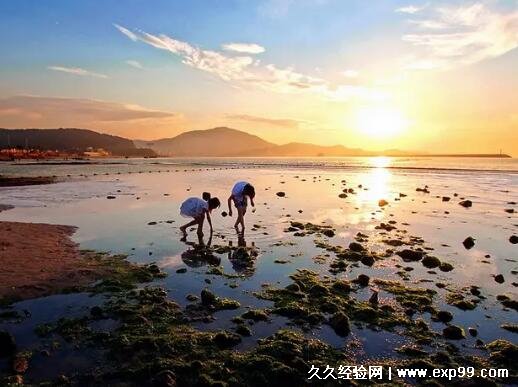 涨潮退潮时间表2022