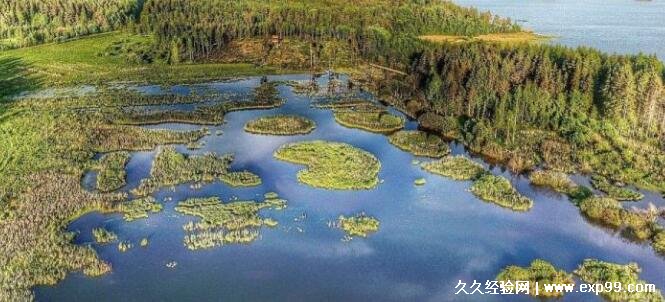 千湖国是哪个国家的称号 芬兰(共有187888个湖泊)