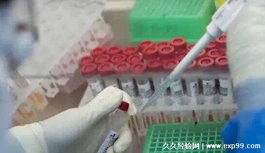 黄码怎么变绿码需要几天2022