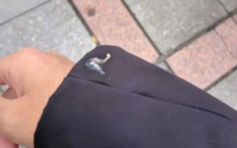 鸟屎掉身上有什么预兆 是福是祸？