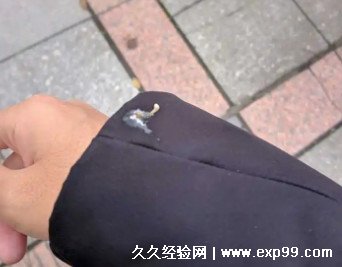 鸟屎掉身上有什么预兆 是福是祸？