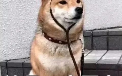 女生说修勾是什么意思 是很亲昵的称呼