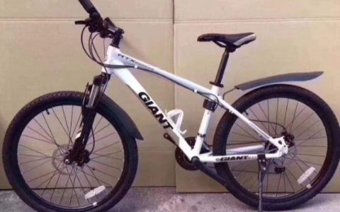 2022年最新自行车品牌排行榜及价格（图片）