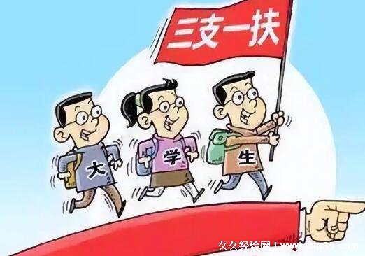 2022西部计划通过率高吗