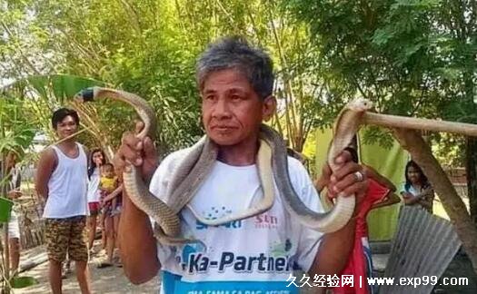 蛇与人类的关系是什么 食物竞争关系