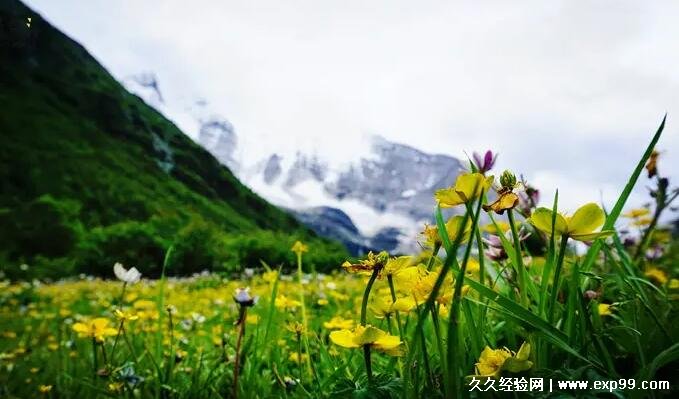 稻城亚丁几月份去最好 别再被攻略骗了