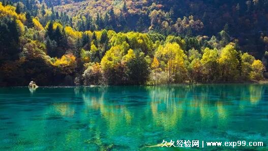 现在去九寨沟旅游要多少钱 最低1000元