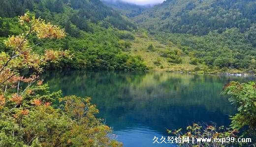现在去九寨沟旅游要多少钱 最低1000元