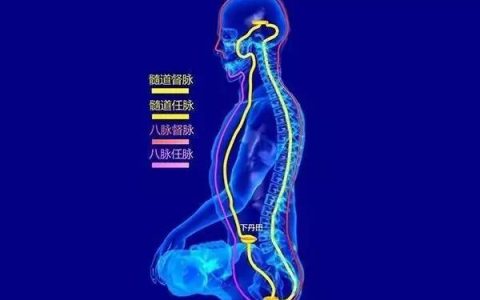 大小周休息是什么意思 周末单双休轮替(大周休2天小周休1天)