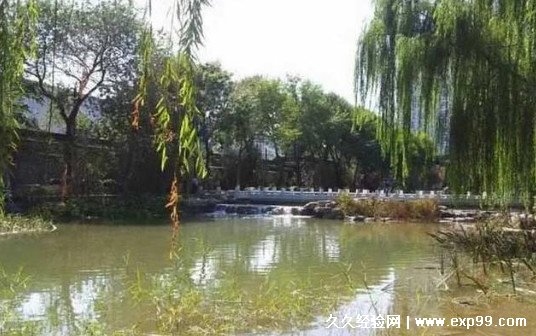 1966年老舍为什么投湖
