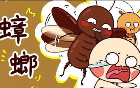 蟑螂会靠近熟睡的人吗灯开着