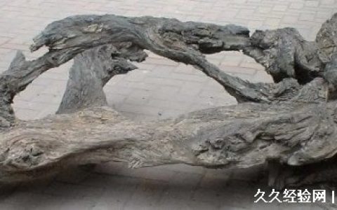 乌木价格多少钱一斤值钱吗