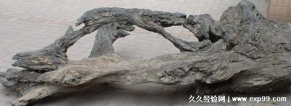 乌木价格多少钱一斤值钱吗