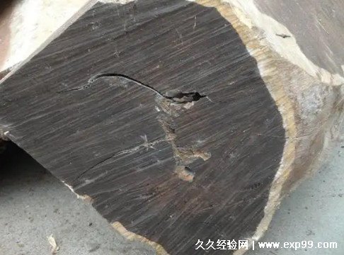 乌木价格多少钱一斤值钱吗