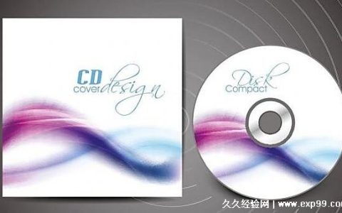 网络用语cd是什么意思 光盘/王者技能冷却/异装癖