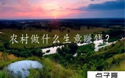 什么生意适合农村 适合在农村创业的5个项目