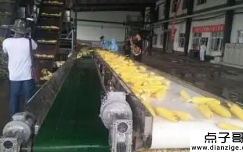 什么是小型加工致富项目 农村地区的5个小型加工创业项目