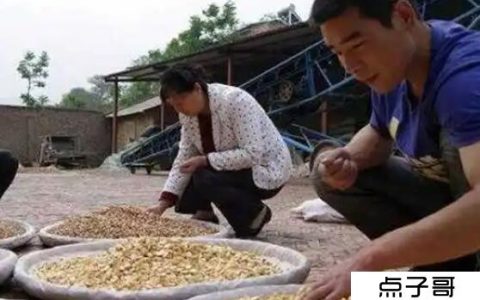 一个人在农村做一单暴利项目 农作物秸秆回收项目都不错