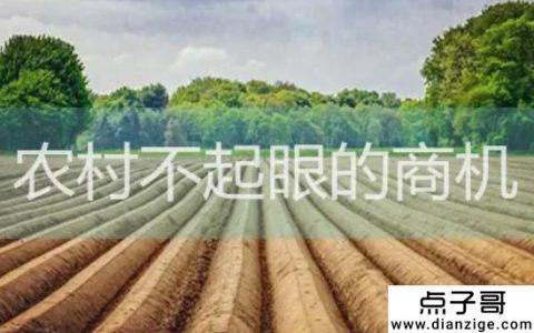 农村有哪些不起眼的商机？