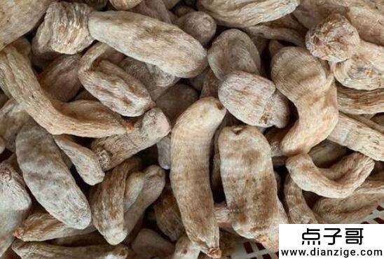 现在地方什么最赚钱 药材利润大(但是技术门槛高)