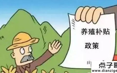 农村养殖政府扶持项目有哪些 可以补贴的5大养殖项目