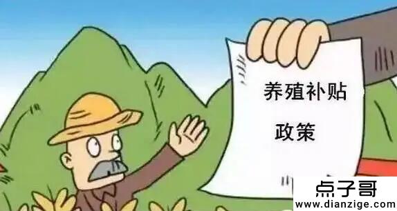 农村养殖政府扶持项目有哪些 可以补贴的5大养殖项目