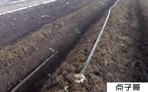 蚯蚓养殖赚钱吗？蚯蚓都是宝(养殖利润可观)