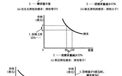 需求弹性大小怎么理解？