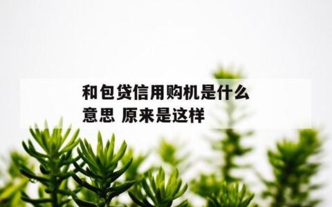 和包贷款是正规的吗？看完这篇文章你就知道