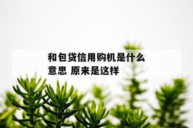 和包贷款是正规的吗？看完这篇文章你就知道