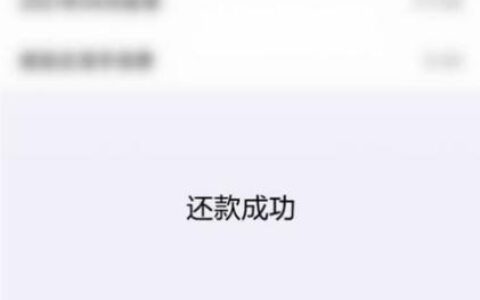 安逸花为啥不能一次还清？原因有三点