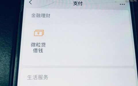 微粒贷还款后可以立马贷出来吗？