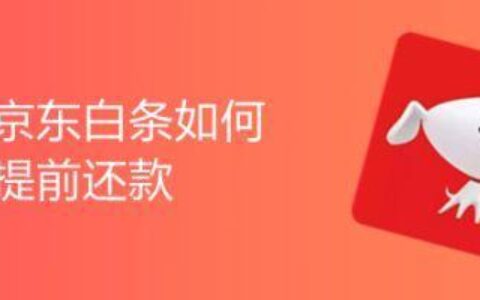 白条怎么提前还款？