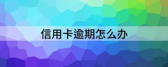 信用卡逾期了怎么办？教你如何恢复信用