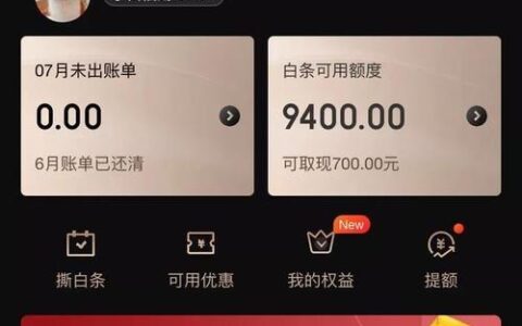 京东白条付款是什么意思？看完这篇文章就懂了