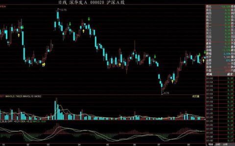 股票走势图怎么看？新手必备技巧