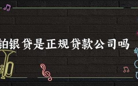 铂银贷是正规贷款公司吗？