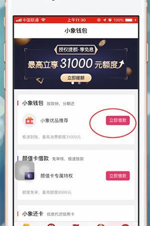 小象优品借款攻略：申请流程、条件、注意事项
