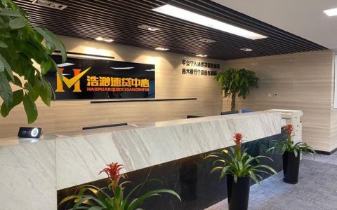 上海小额贷款公司简介